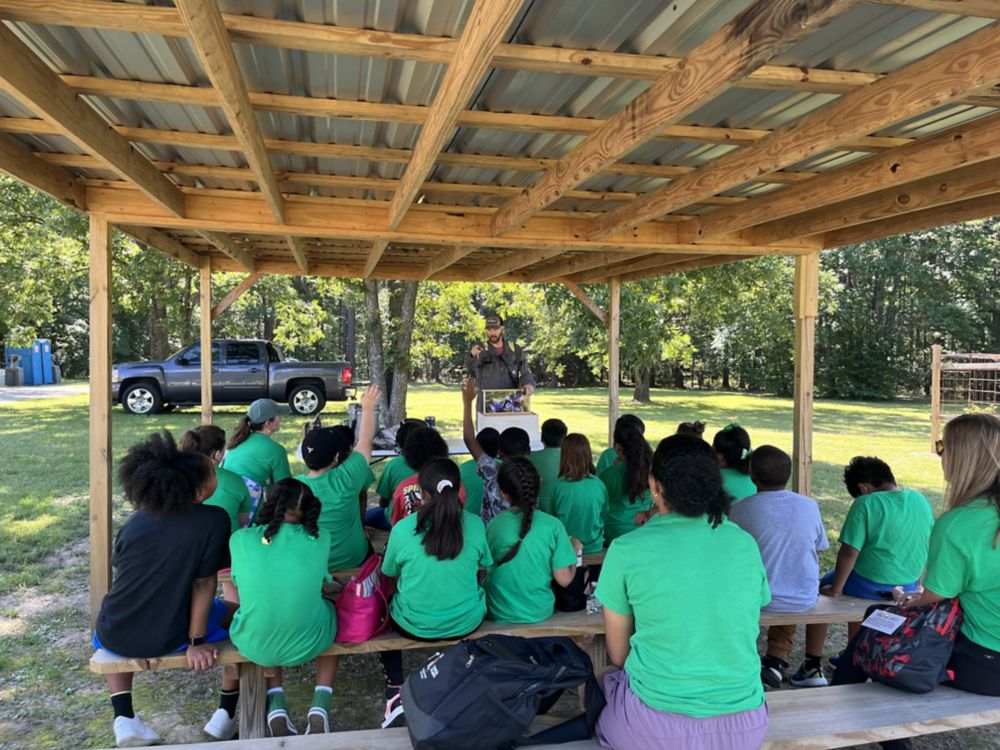 A group of children identify real leaves by comparing them to printed diagrams. 