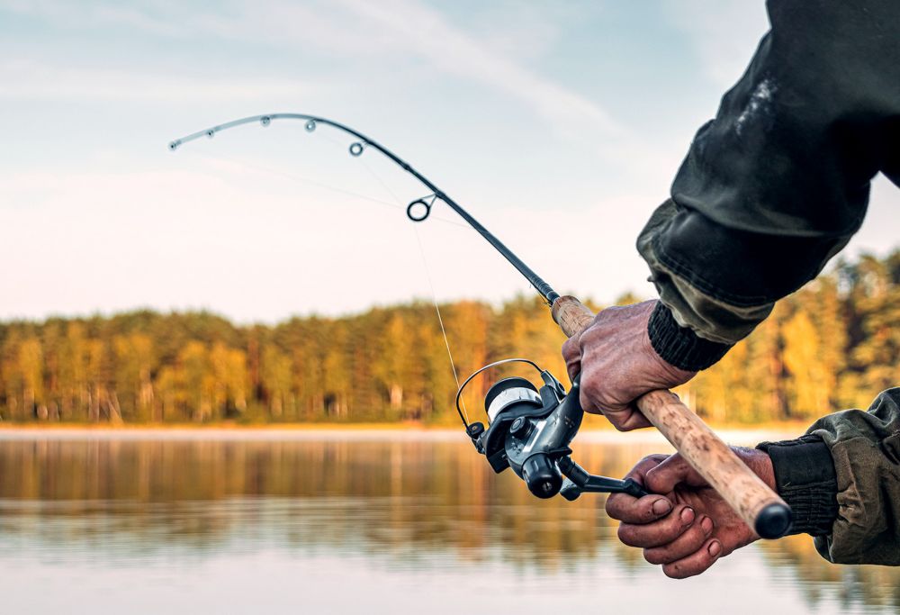 A person casting a fishing rod into a river with trees in the background. 