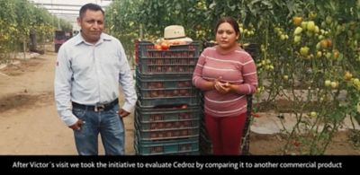 Cedroz customer testimonial from Díaz greenhouses Eastman