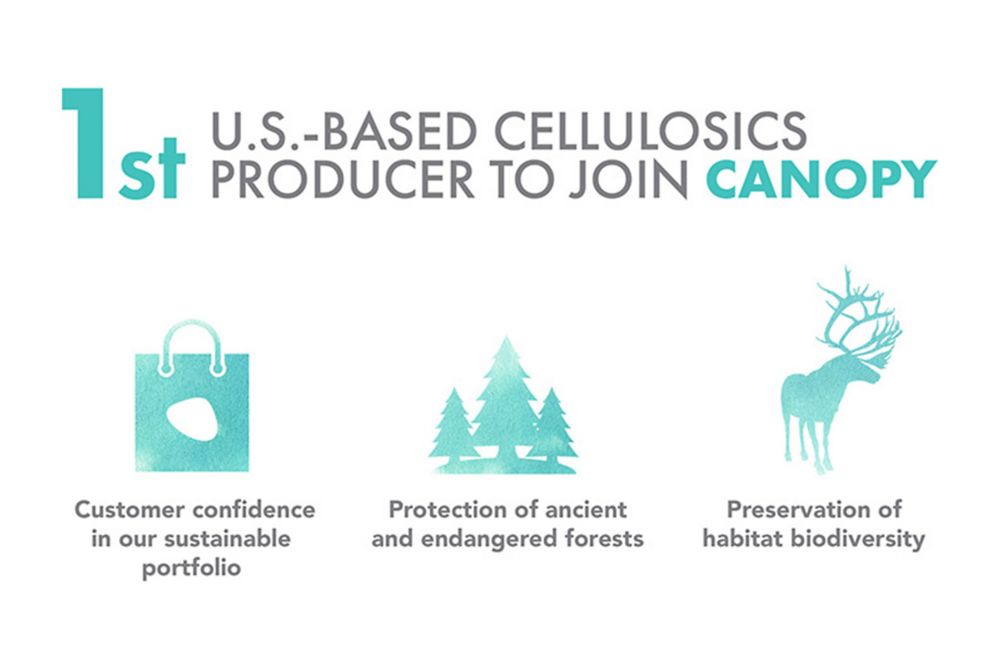 Infographic of 4 sustainable forestry practices 