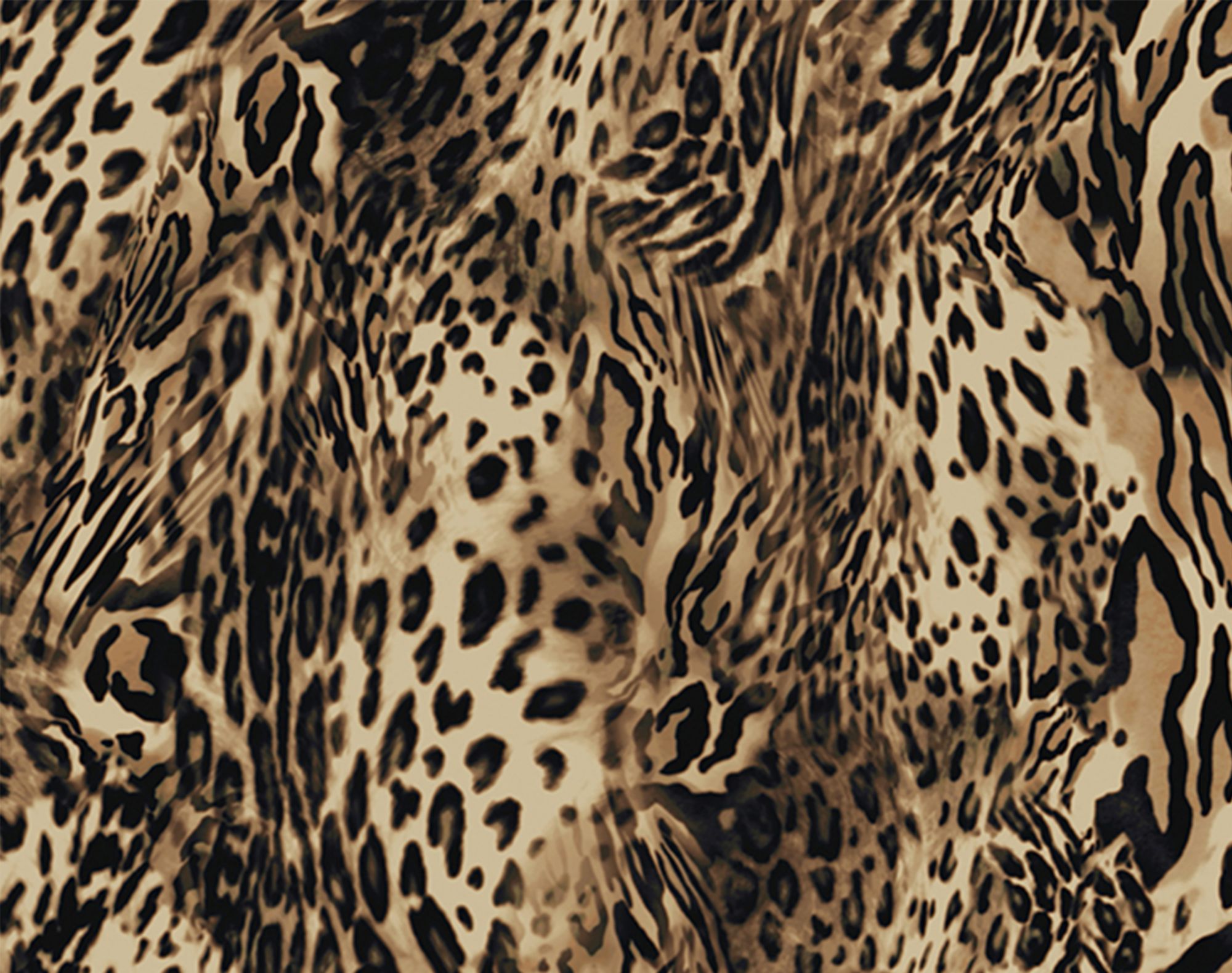 Cheetah print pattern 