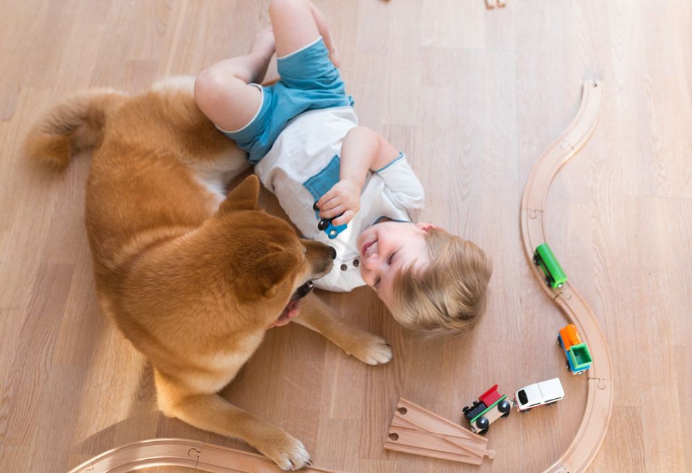 A child plays with a dog on the floor 