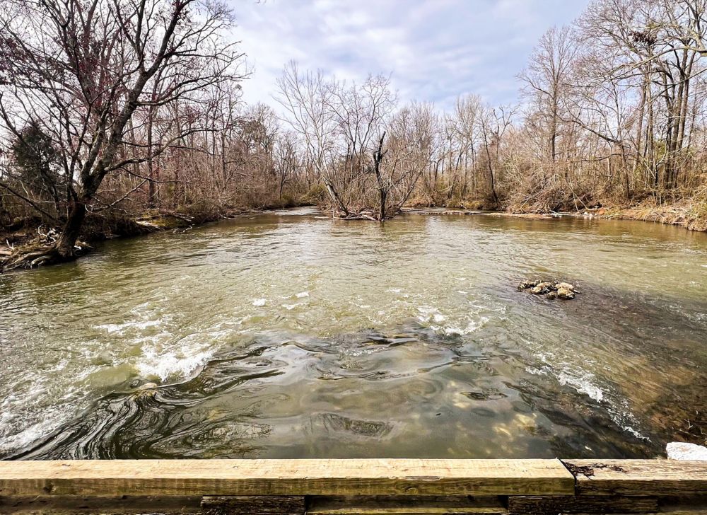 A view of Choccolocco Creek.  