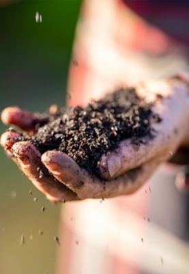 A closeup of a hand holding soil.