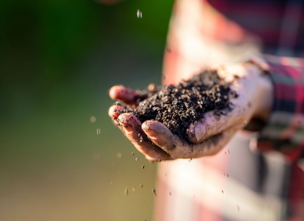 A close-up of a hand holding soil 