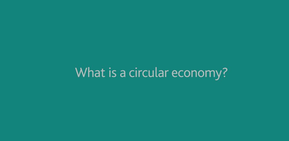 What is a circular economy?