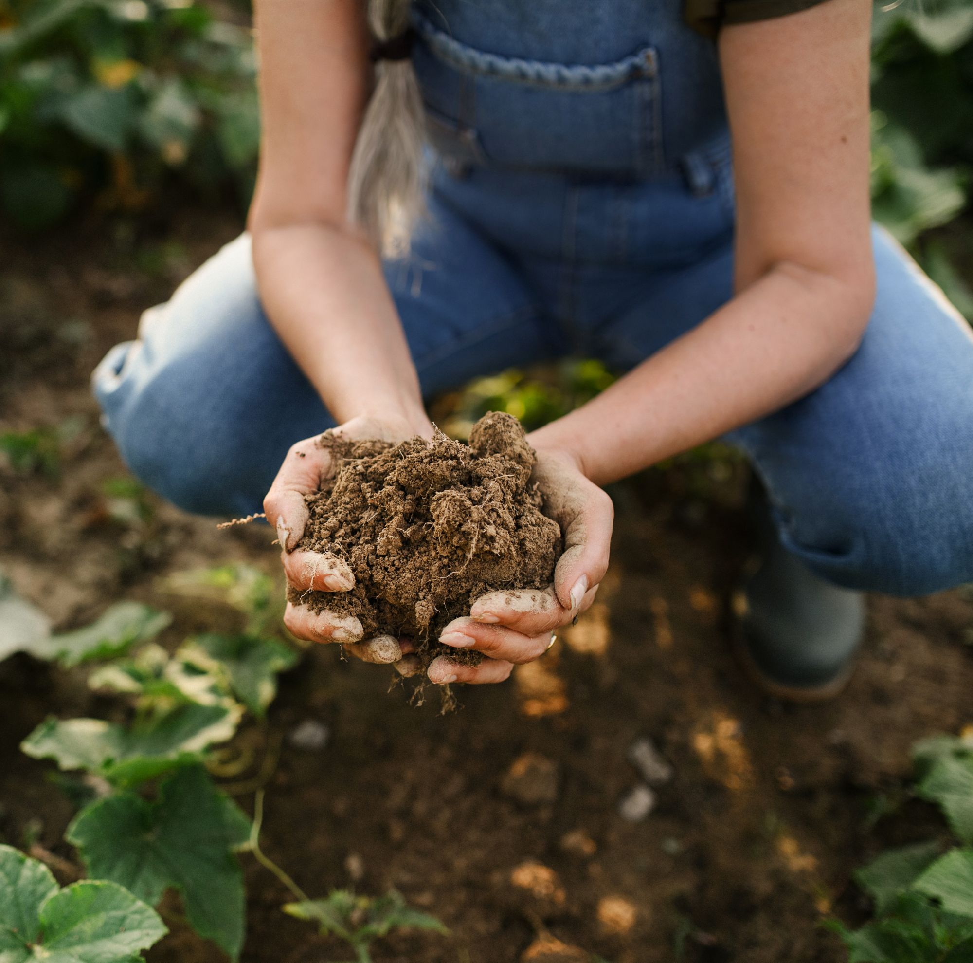 A farmer with a handful of soil 