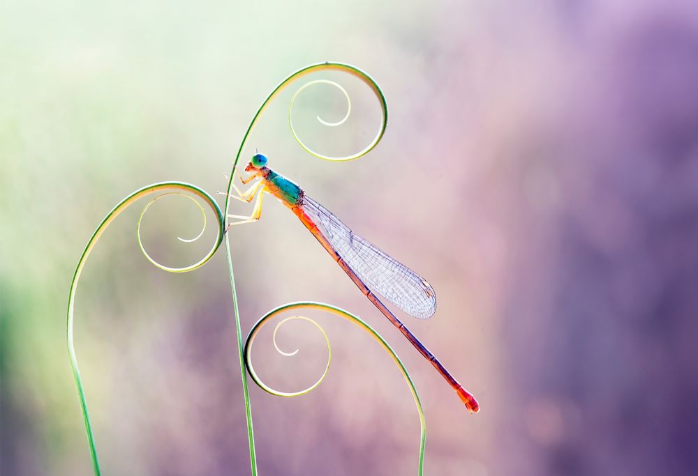 Three people meet in a conference room with laptop computers 