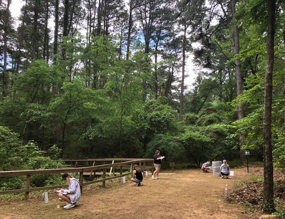 Walk in the Forest workshop. 