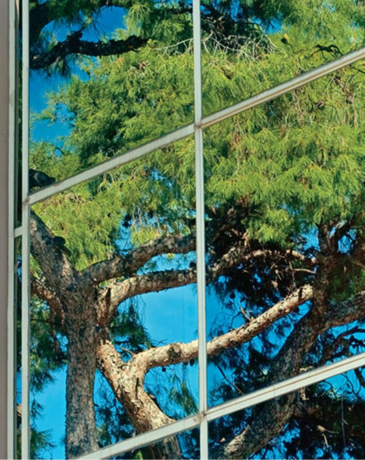 Glass building facade reflecting nearby trees and blue sky. 