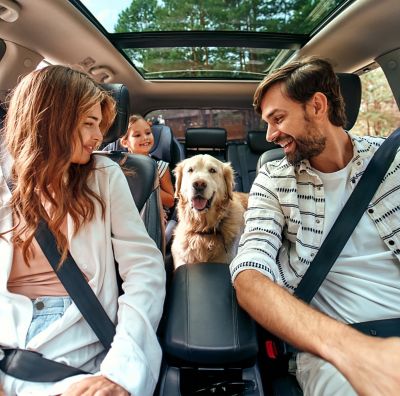 Family car ride upholstery