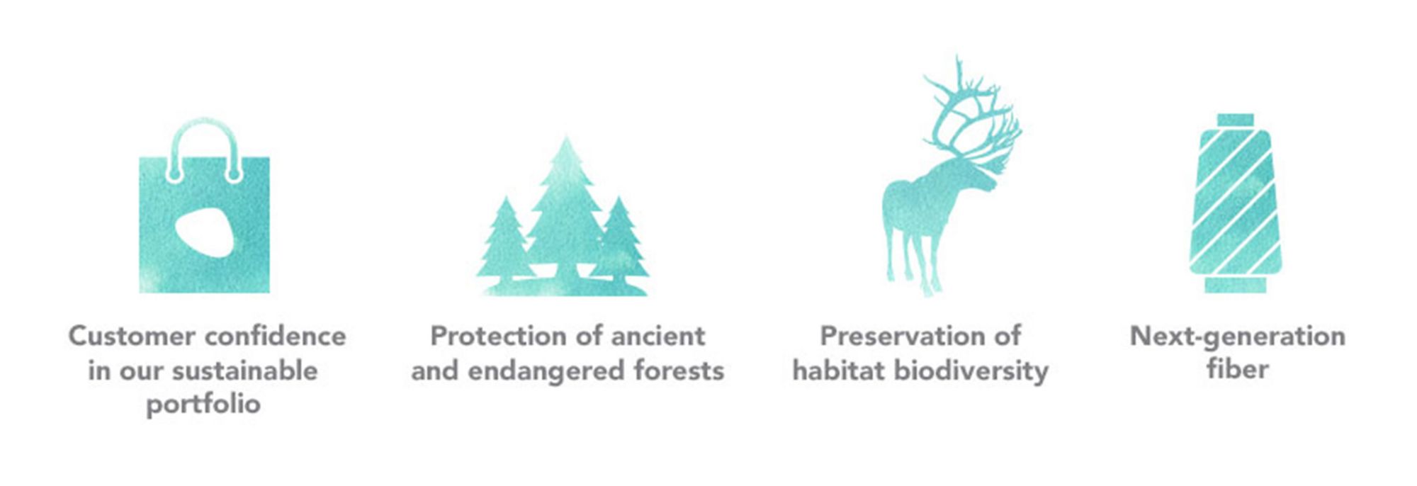 Infographic of 4 sustainable forestry practices 