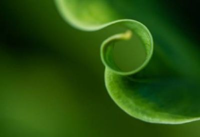 Filter Tow Newsletter Q3 2025. 