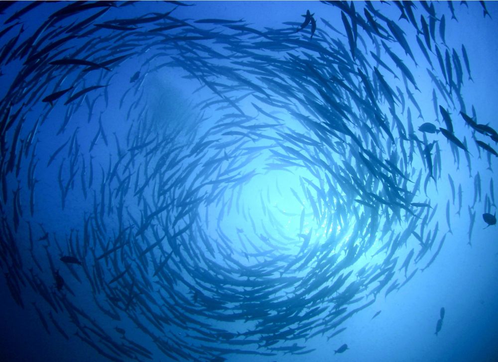 Eastman strives to protect the environment. 