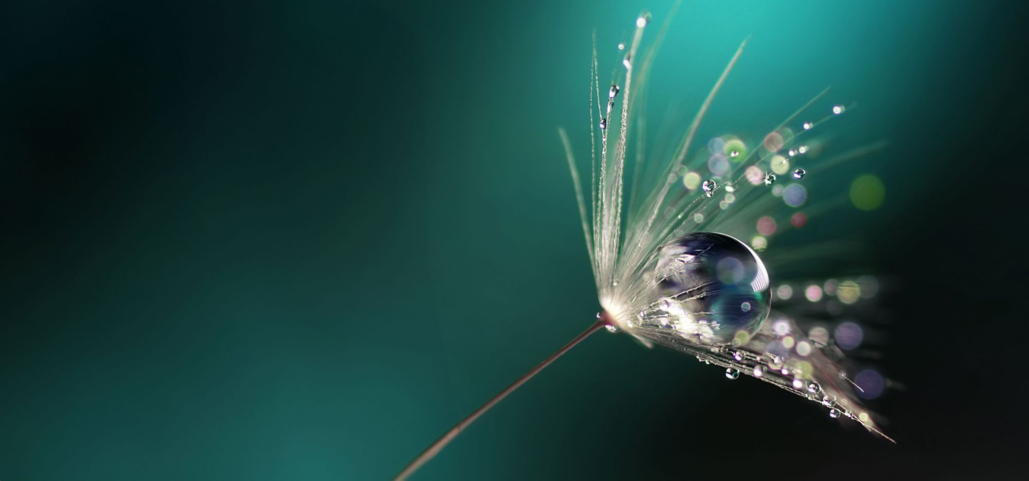 L’innovation durable d’Eastman pour un meilleur cercle 