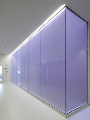 purple partition