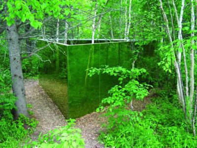 green glass installation in the forest