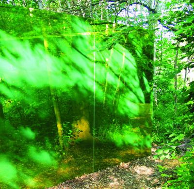 green glass installation in the forest