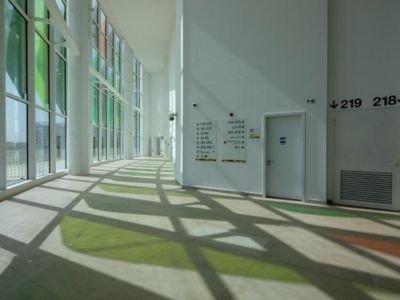 green colored facade of a stadium