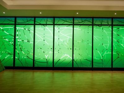 colorful green partitions in the fitness center