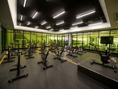 colorful green partitions in the fitness center