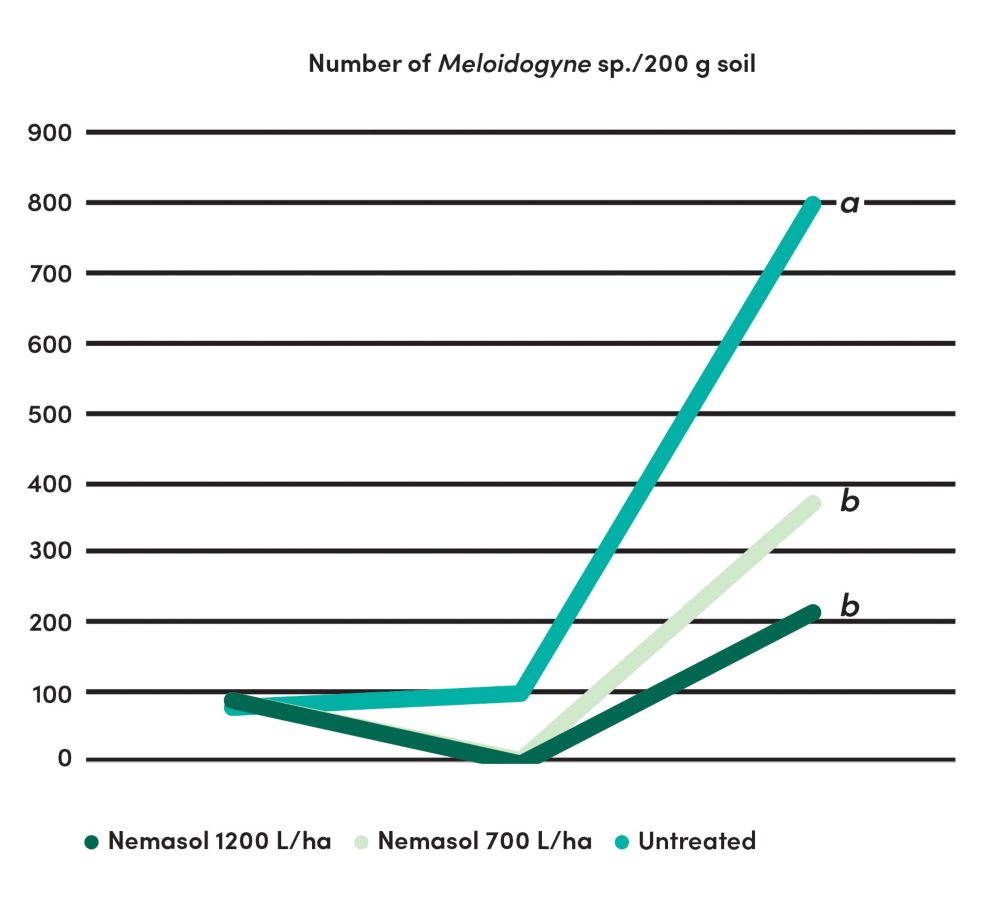 Graphic number of Meloidogynes 