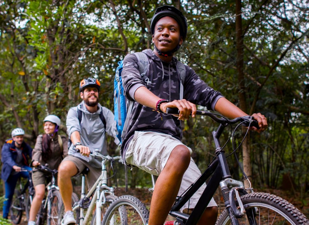 Four people on bicycles look out at the forest surrounding them. 