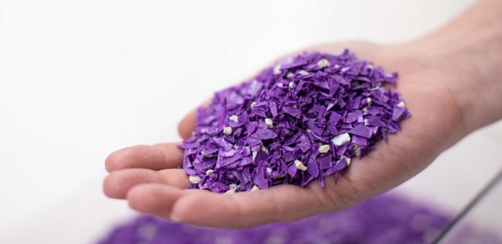Purple pellets rest in a person’s hand 