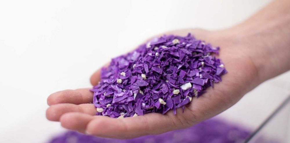 A person holds purple pellets 
