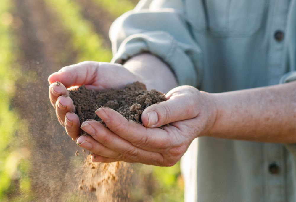A farmer holds dirt, letting some slip through his fingers 