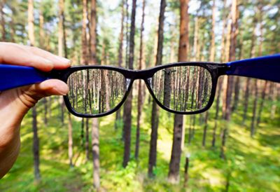 A hand holding a pair of glasses with focus on the forest. 