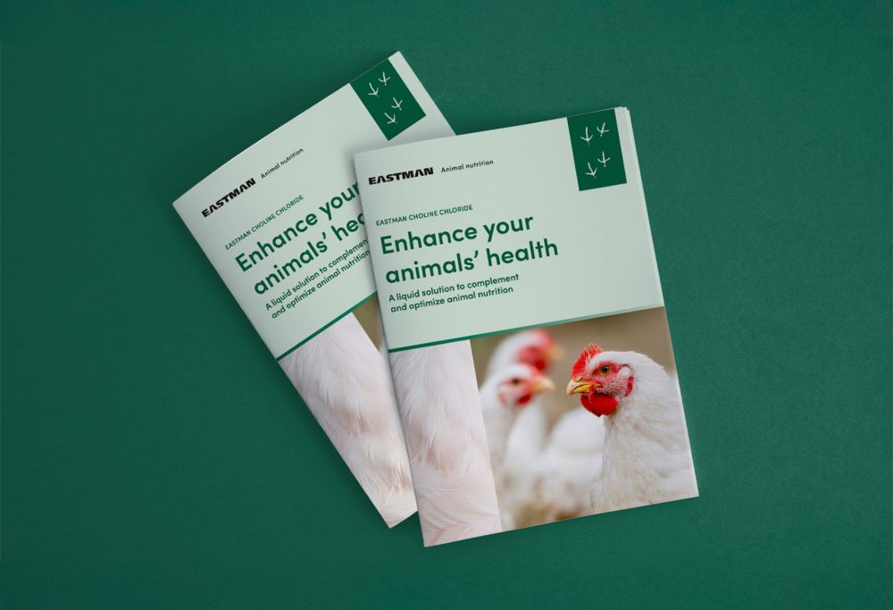 Two Eastman brochures for enhancing your animal health, featuring chickens on the cover.  