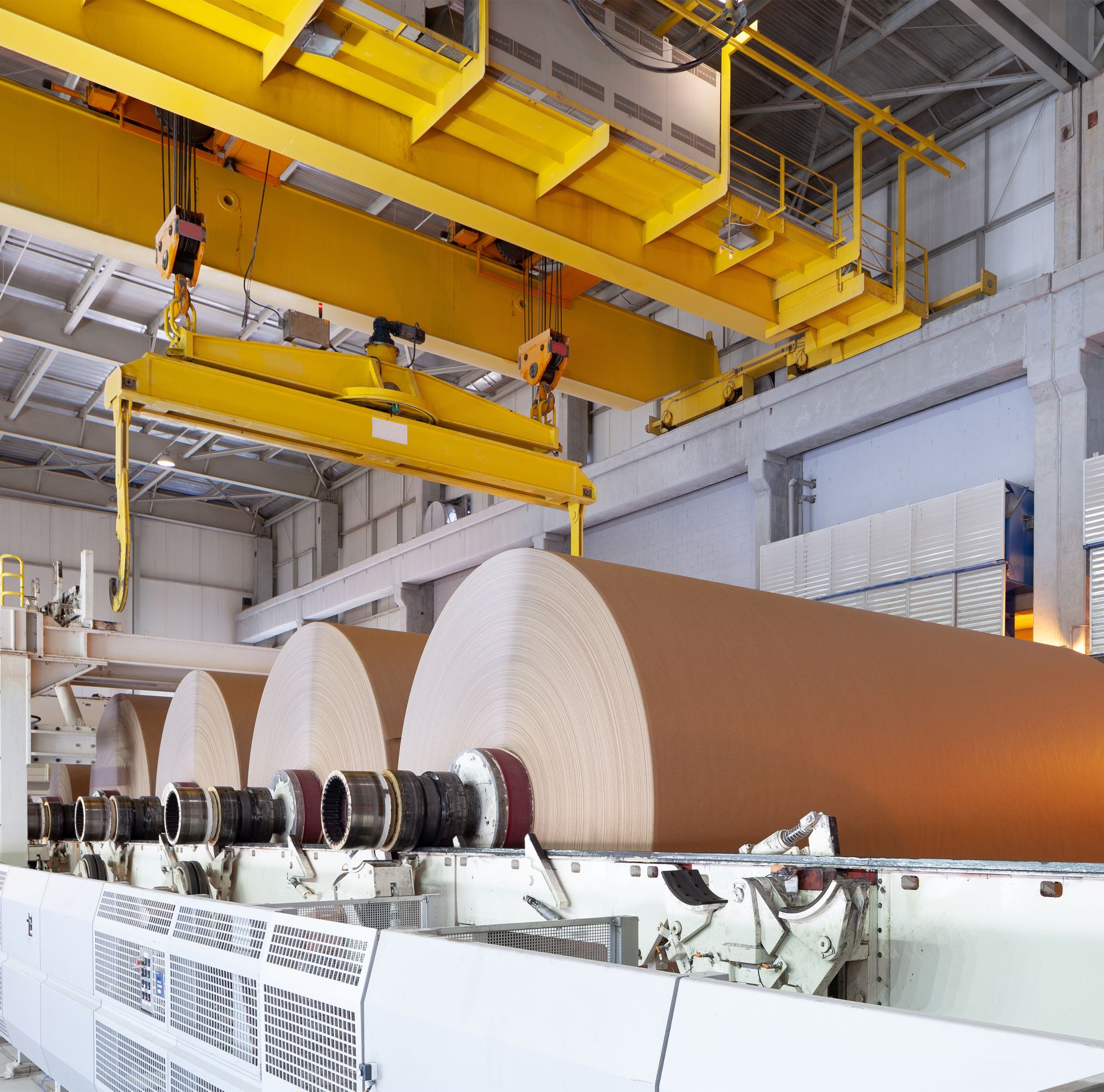 Industrial-sized rolls of paper in a packaging manufacturing site. 