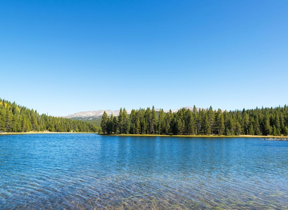 Logan Martin Lake is seen on a sunny day.  