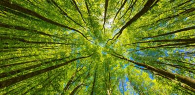 Circularity will succeed when each region recycles its own waste