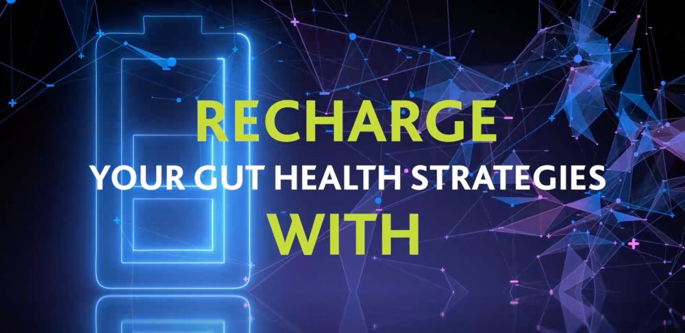 Recharge your animal gut health strategies with Eastman