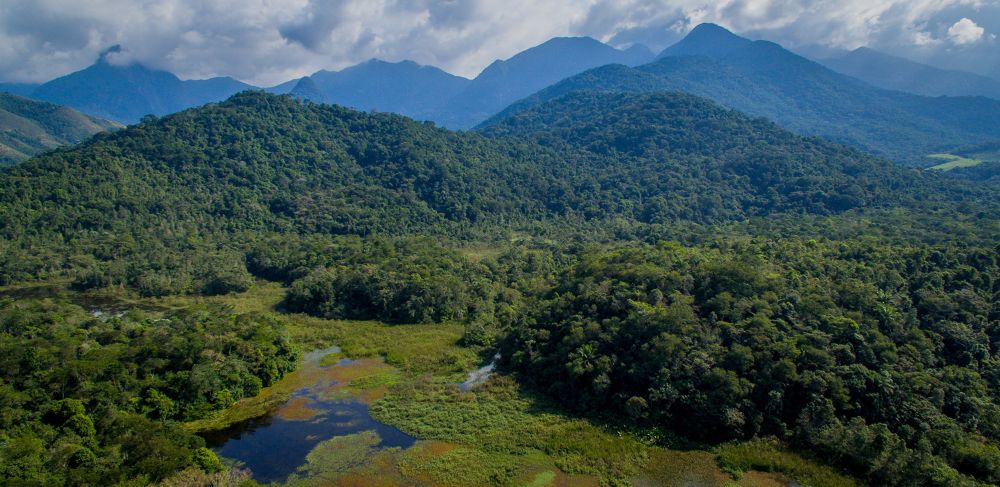 Mata Atlântica in Paraty 