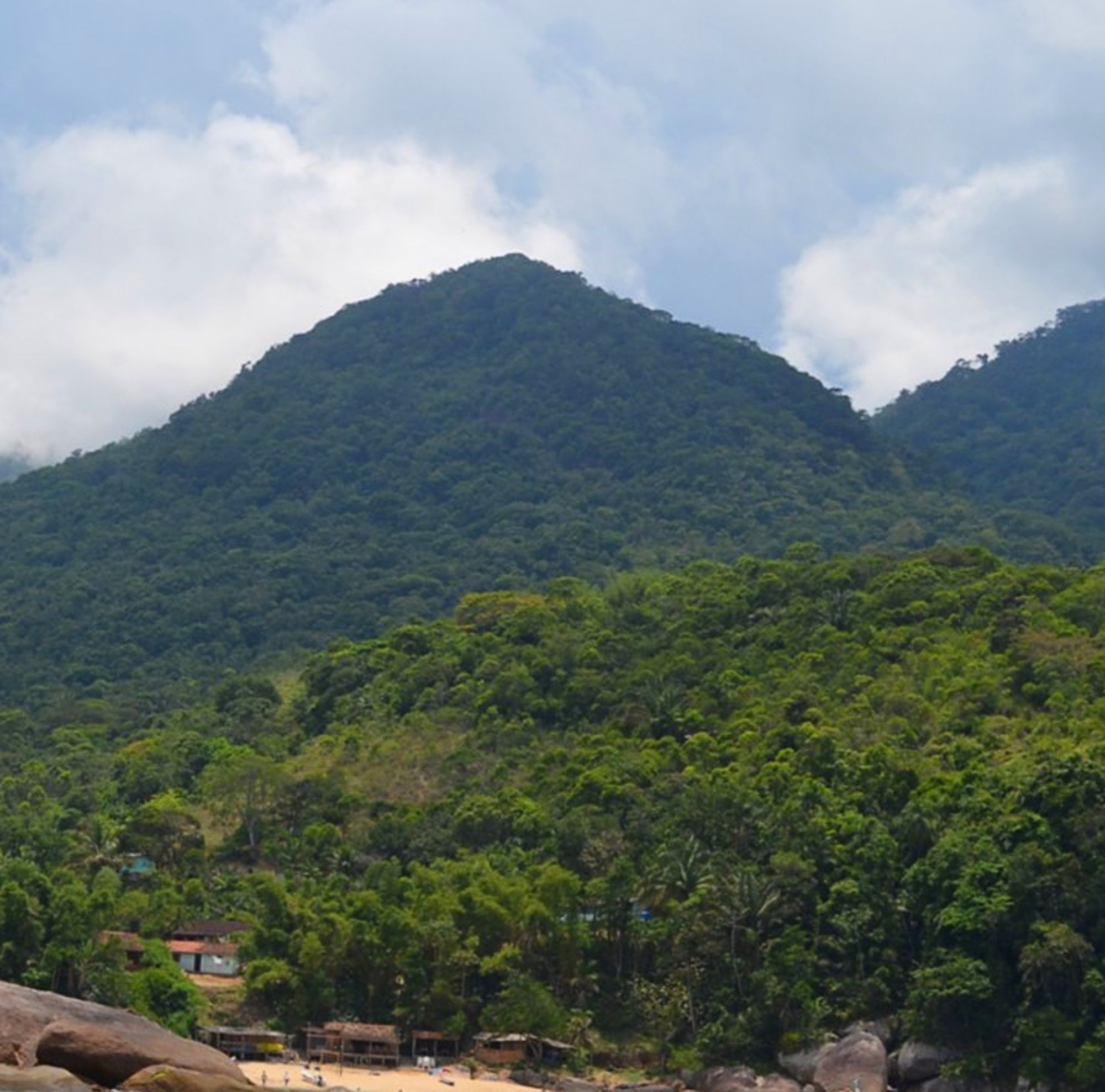 A tree-covered mountain in the Mata Atlântica forest in South America is shown. 