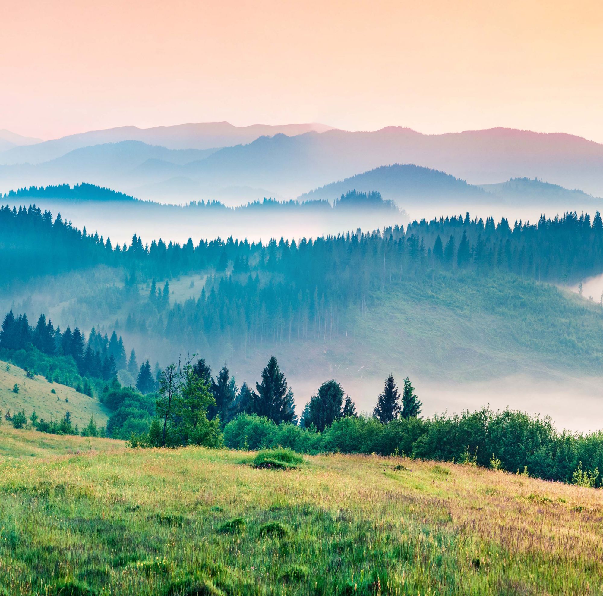 Misty, layered mountain landscape with grassy foreground. 