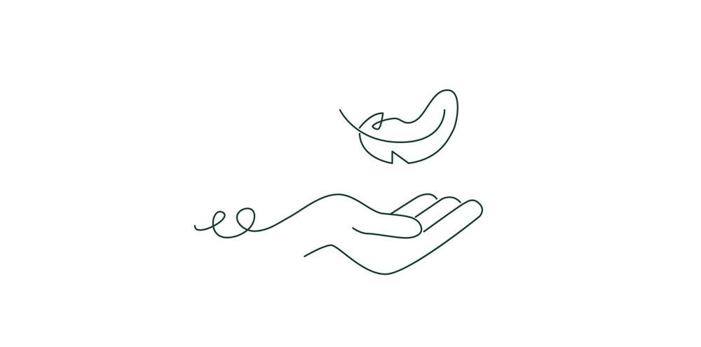 Icon of a hand reaching out to a falling feather  