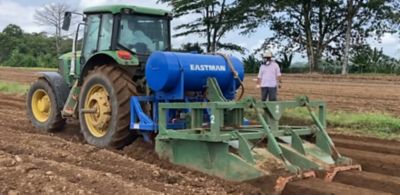 Eastman machine for pineapples harvest