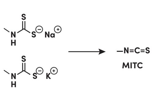 Chemical equation of Nemasol decomposing to produce MITC