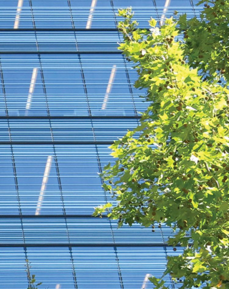 Reflective glass building partly obscured by green trees. 