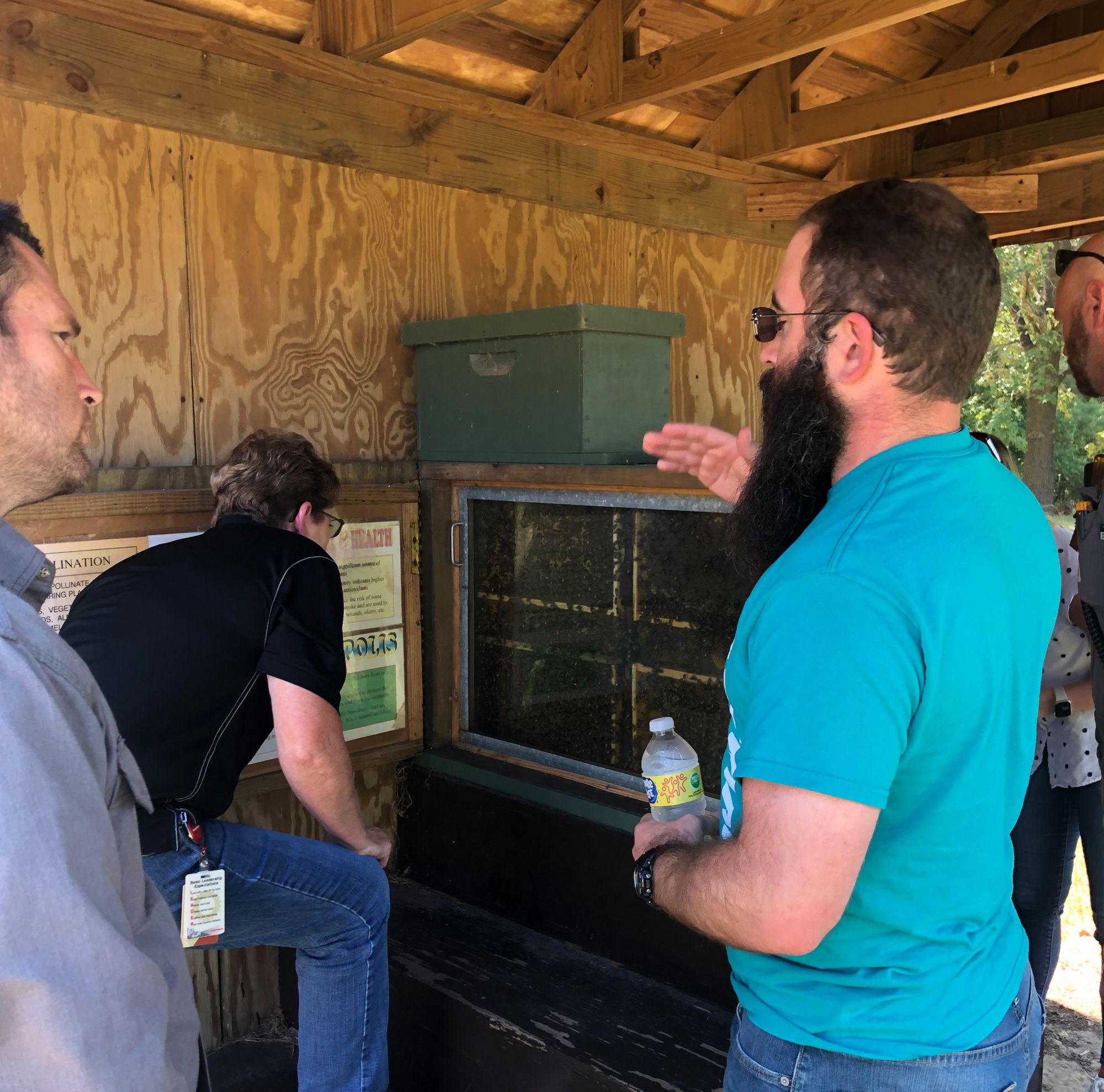 Eastman employees visiting the honeybee observation hive 
