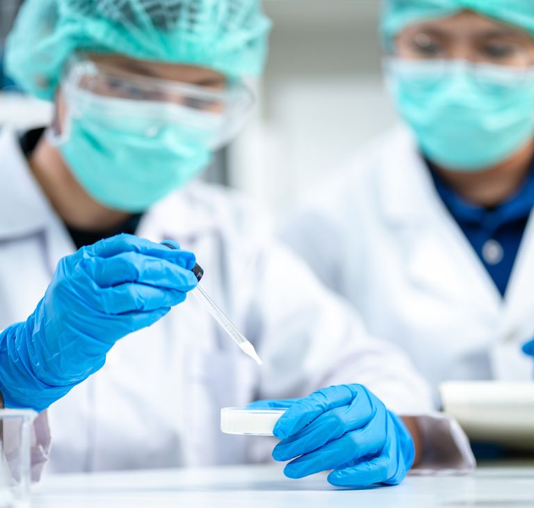 A researcher pipettes white liquid into a petri dish. 
