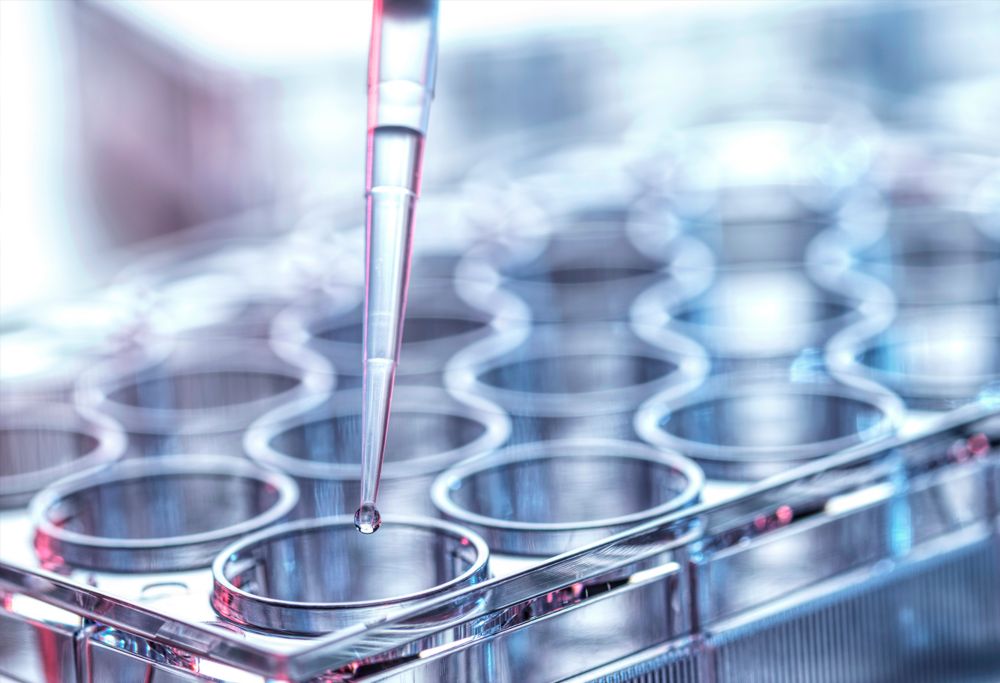 A close-up of someone pipetting clear liquid into a tray. 