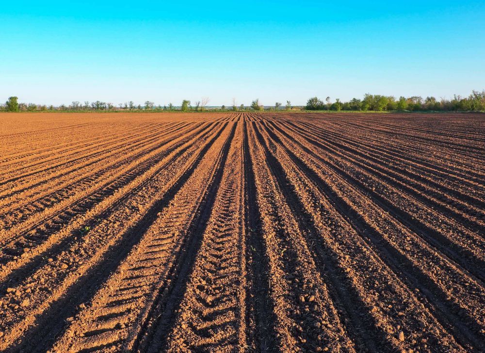A freshly plowed field of soil. 
