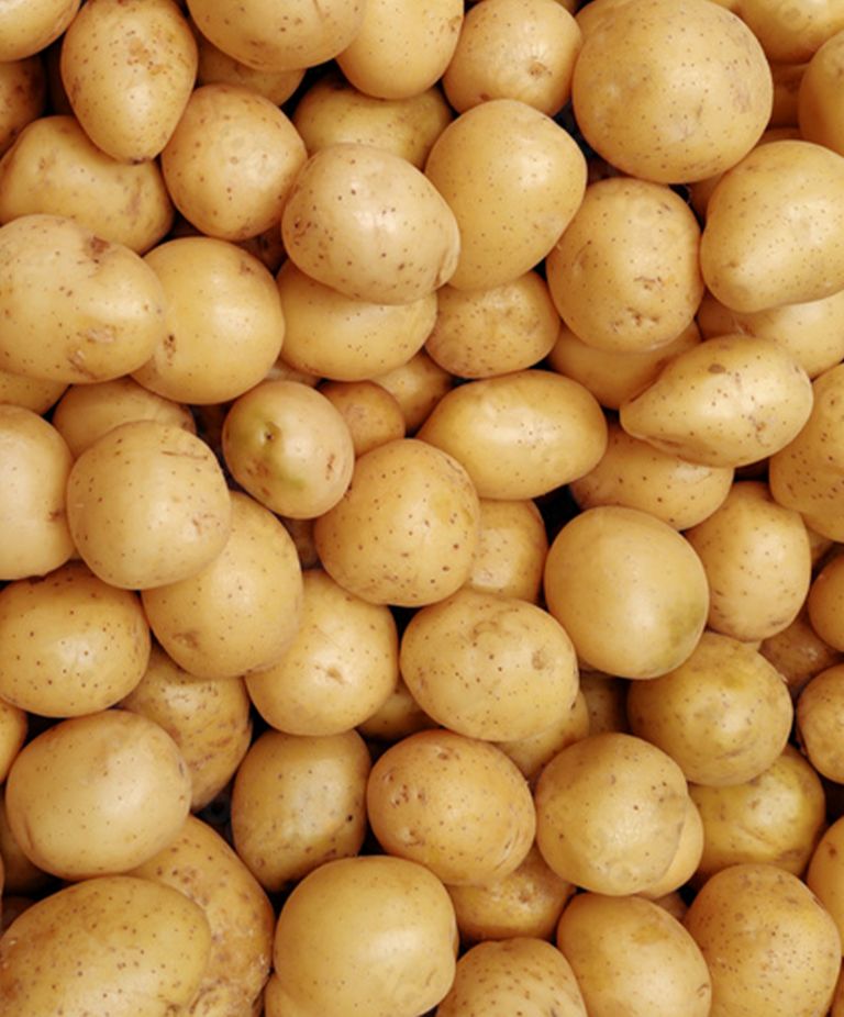 A pile of clean washed yellow potatoes. 