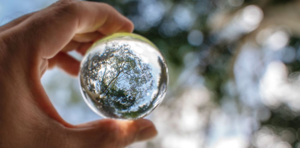 A hand holding a glass orb with a tree reflection inside. 