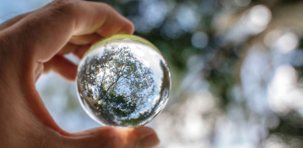 A hand holding a glass orb with a tree reflection inside. 